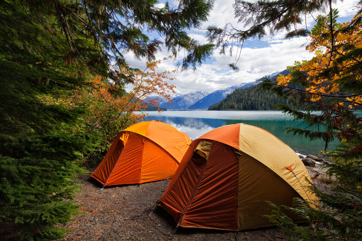 Camping Reservation | Example